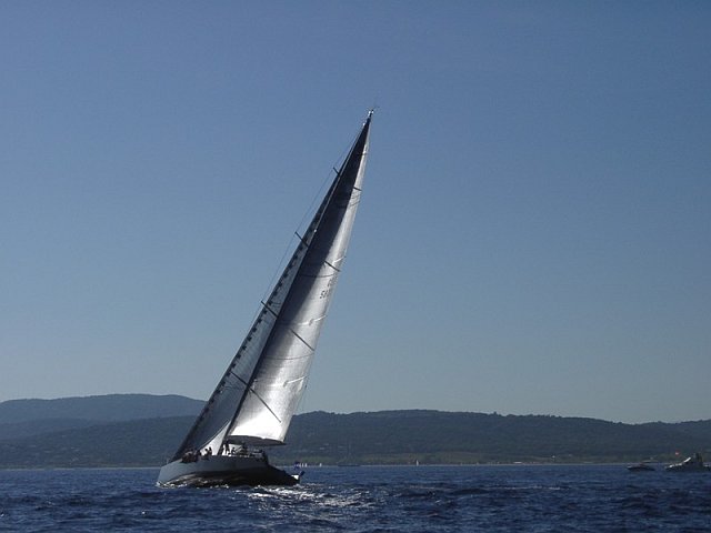 wallys - 6.jpg
